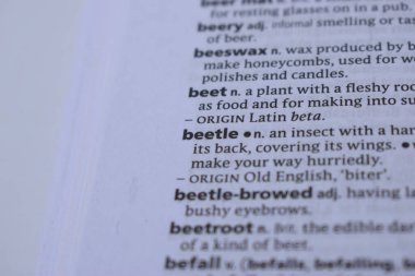 İngilizce Tanımlama Sözlüğü - Böceğin Yazılı Sözcüğünün Sayfasını Kapat