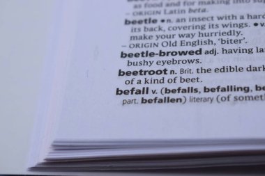 İngilizce Sözlük Sayfasını Kelimeyle Kapat - pancar kökü