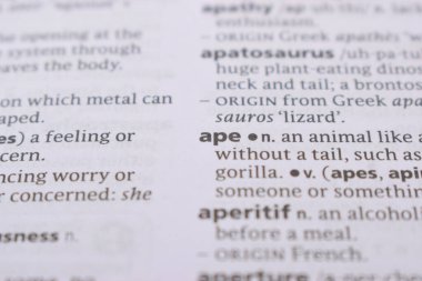 İngilizce Sözlük Sayfasını Kelimeyle Kapat - maymun