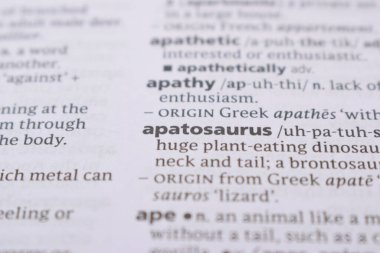 İngilizce Tanımlama Sözlüğü Sayfası - apatosaurus 'un Yazılı Sözcüğünün Kapalı Sayfası