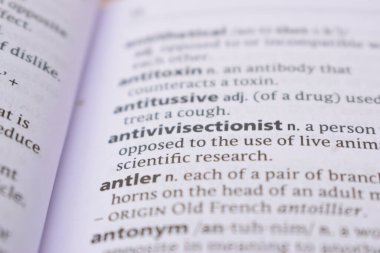 İngilizce Sözlük Sayfasını Sözcükle Kapat - boynuz