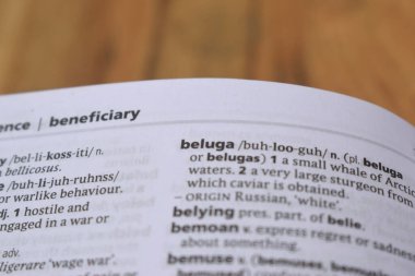 - beluga kelimesinin İngilizce Tanımlama Sözlüğü Sayfasını Kapat