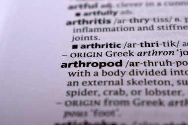 İngilizce Tanımlama Sözlüğü Sayfası Eklembacaklının Yazılı Sözcüğünün Kapanışı