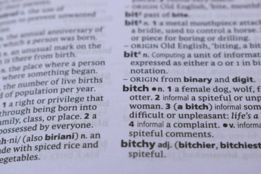 English Definition Dictionary Page Close Up Of Printed Word Of -bitch