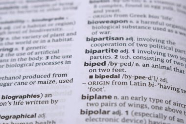 İngilizce Sözlük Sayfasını Sözcükle Kapat - çift ayaklı