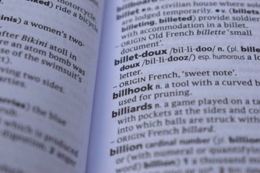 İngilizce Sözlük Sayfası - billhook Sözcüğüyle Kapat