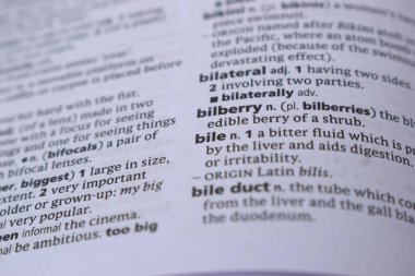 İngilizce Tanımlama Sözlüğü Sayfası - bilberry 'nin Yazılı Sözcüğünün Kapanışı