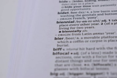 İngilizce Sözlük Sayfası - Bienal Sözcüğüyle Kapat