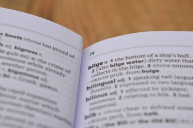 - bilge kelimesinin İngilizce Tanımlama Sözlüğü Sayfasını Kapat