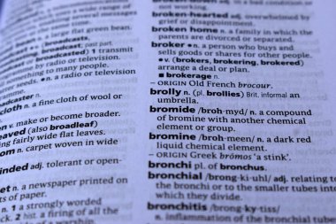 Kelime ile Sayfa Yazdırma Sözlüğünün Tanımı - brolly