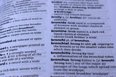 İngilizce Sözlük Sayfası Yazdırma - Bronşların Sözcüğüyle Kapat