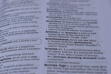 Kelime ile Sayfa Yazdırma Sözlüğünün Tanımı - Bronco