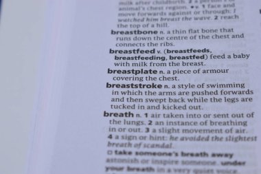 İngilizce Tanımlama Sözlüğünün Kapalı Sayfa Sözlüğü - göğüs zırhı