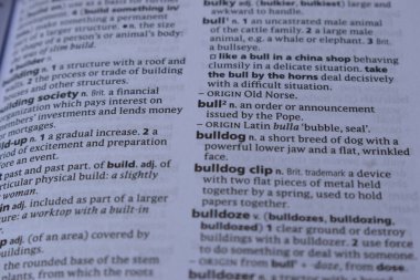 Kelime ile Sayfa Yazdırma Sözlüğünün Tanımı - Bulldog