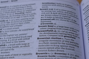 Kelime - kahverengi ayı ile Sayfa Yazdırma Sözlüğünün Tanımı 