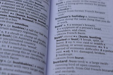 İngilizce Tanımlama Sözlüğünün Kapat Sayfa Kelimesi - büst