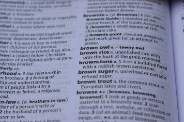 Kelime ile Sayfa Yazdırma Sözlüğünün Tanımı - kahverengi baykuş