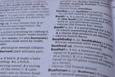İngilizce Sözlük Sayfası Kelime Anlamı - Bush ile Kapat