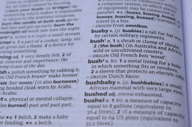 İngilizce Sözlük Sayfası Kelime Anlamı - Bush ile Kapat