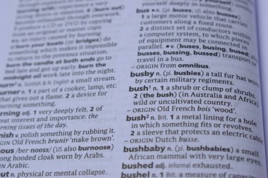 Kelime ile Sayfa Yazdırma Sözlüğünün Tanımı - Bush