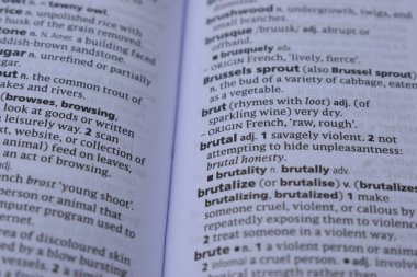 İngilizce Sözlük Sayfası 