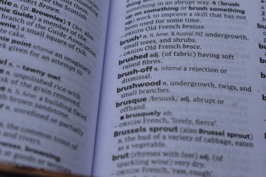 Kelime ile Sayfa Yazdırma Sözlüğünün Tanımı - Fırçalama