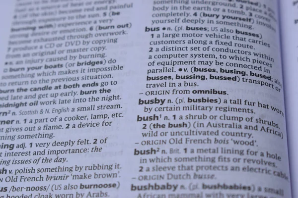 İngilizce Tanımlama Sözlüğünün Kapat Sayfa Kelimesi - busby