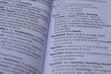 Kelime ile Sayfa Yazdırma Sözlüğünün Tanımı - yakalanmış