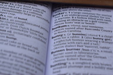 Kelime ile Sayfa Yazdırma Sözlüğünün Tanımı - palavra