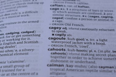 İngilizce sözlük sayfası - cagoule kelimesinin anlamı ile kapat