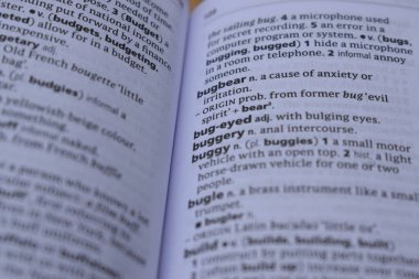 İngilizce Sözlük Sayfası Ayının Anlamı Sözcüğünü Kapat