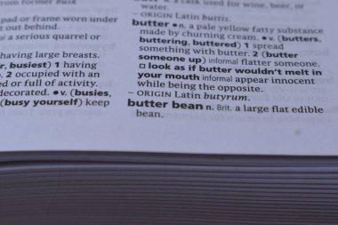 Kelime ile Sayfa Yazdırma Sözlüğünün Tanımı - birisi