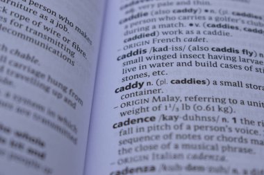 İngilizce Sözlük Sayfası Yazdır - Caddy 'nin Anlamı Sözcüğünü Kapat