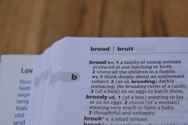 Kelime ile Sayfa Yazdırma Sözlüğünün Tanımı - Kuluçka