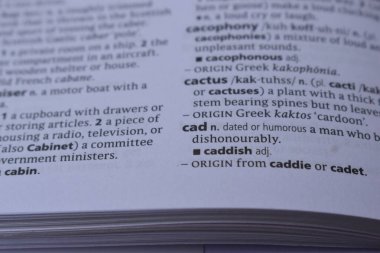 İngilizce Sözlük Sayfası Yazdır - Alçak kelimesinin anlamı ile kapat