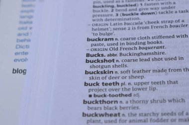 İngilizce Sözlük Sayfası Yazdır - Doların Anlamı Sözcüğünü Kapat