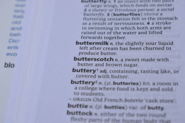 Kelime ile Sayfa Yazdırma Sözlüğünün Tanımı - karamela