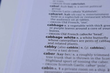 İngilizce Sözlük Sayfası Beyaz Lahana Sözcüğüyle Kapat