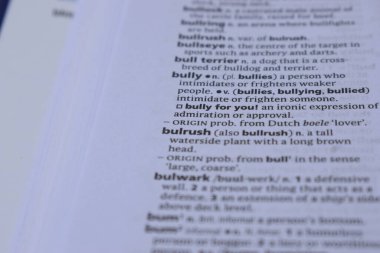 İngilizce sözlük sayfası - Bulrush kelimesinin anlamı ile kapat