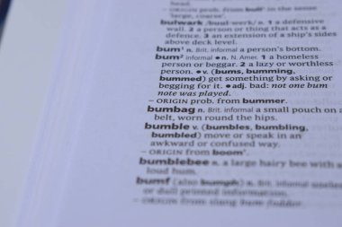 Kelime ile Sayfa Yazdırma Sözlüğünün Tanımı - Serseri