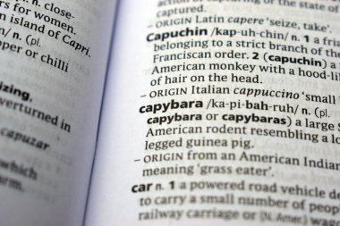 Close Up Of English Definition Dictionary Printed Page Word Of -  capybara