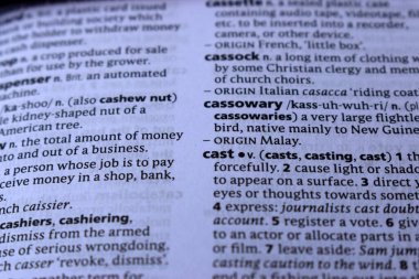 İngilizce Sözlük Sayfası Yazdır - Cassowary kelimesinin anlamı ile kapat