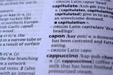 English Dictionary Page Close Up With The Word Of Print -capon