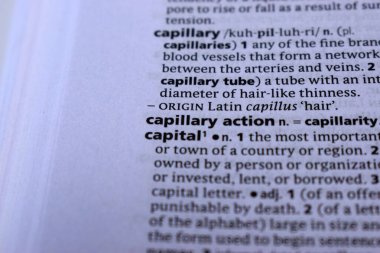 İngilizce Tanımlama Sözlüğünün Kapalı Sayfa Sözlüğü - kılcal eylem