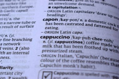 Kelime ile Sayfa Yazdırma Sözlüğünün Tanımı - capon