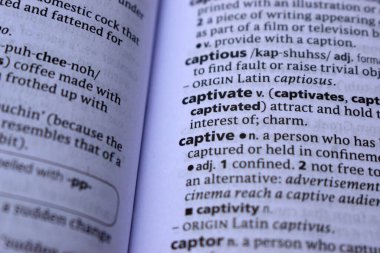 English Dictionary Page Print Close Up With The Word Meaning Of -captive