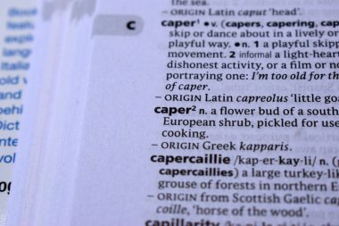 Türkçe Tanımlama Sözlüğünün Kapalı Sayfa Kelimesi - caper2