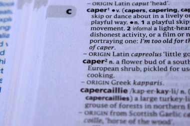 Kelime ile Sayfa Yazdırma Sözlüğünün Tanımı - Hareket