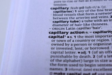 Kelime ile Sayfa Yazdırma Sözlüğünün Tanımı - kılcal eylem