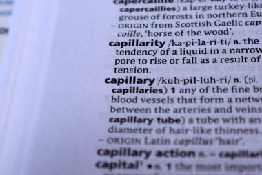 İngilizce Sözlük Sayfası Kılcal yazdırma sözcüğüyle Kapat